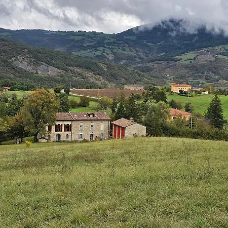 Sogni Nel Bosco *