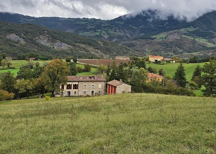 Sogni Nel Bosco *